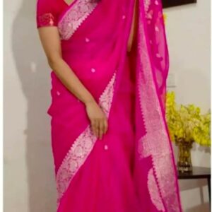 Khaddi Chiffon Banarasi Handloom Saree