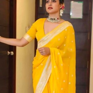 Khaddi Chiffon Banarasi Handloom Saree