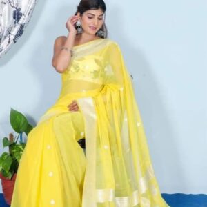 Khaddi Chiffon Banarasi Handloom Saree