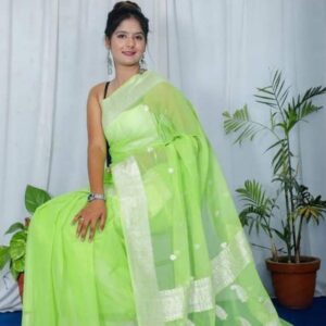 Khaddi Chiffon Banarasi Handloom Saree